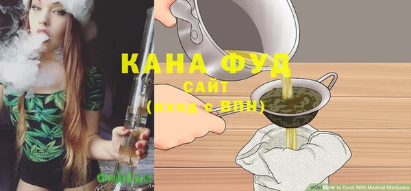 гидра Бородино