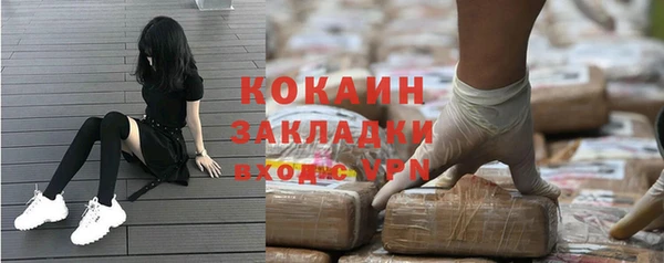 гидра Бородино