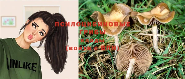гидра Бородино
