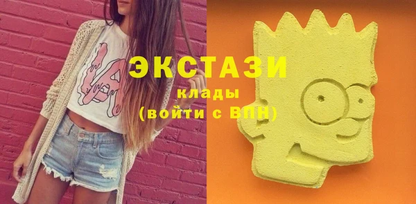 гидра Бородино
