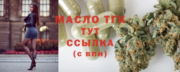 гидра Бородино