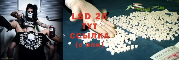 гидра Бородино