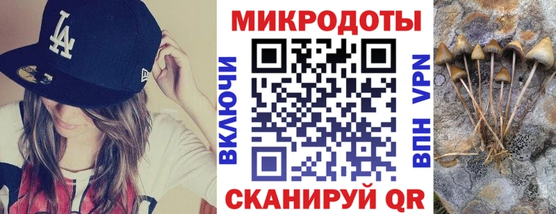 Псилоцибиновые грибы Cubensis  Купить  Губкин 